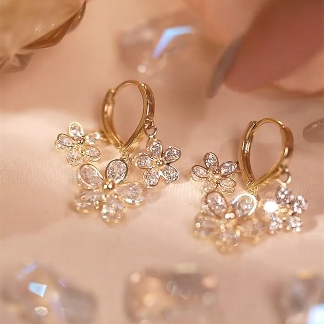 Preciosos pendientes de plata de Ley